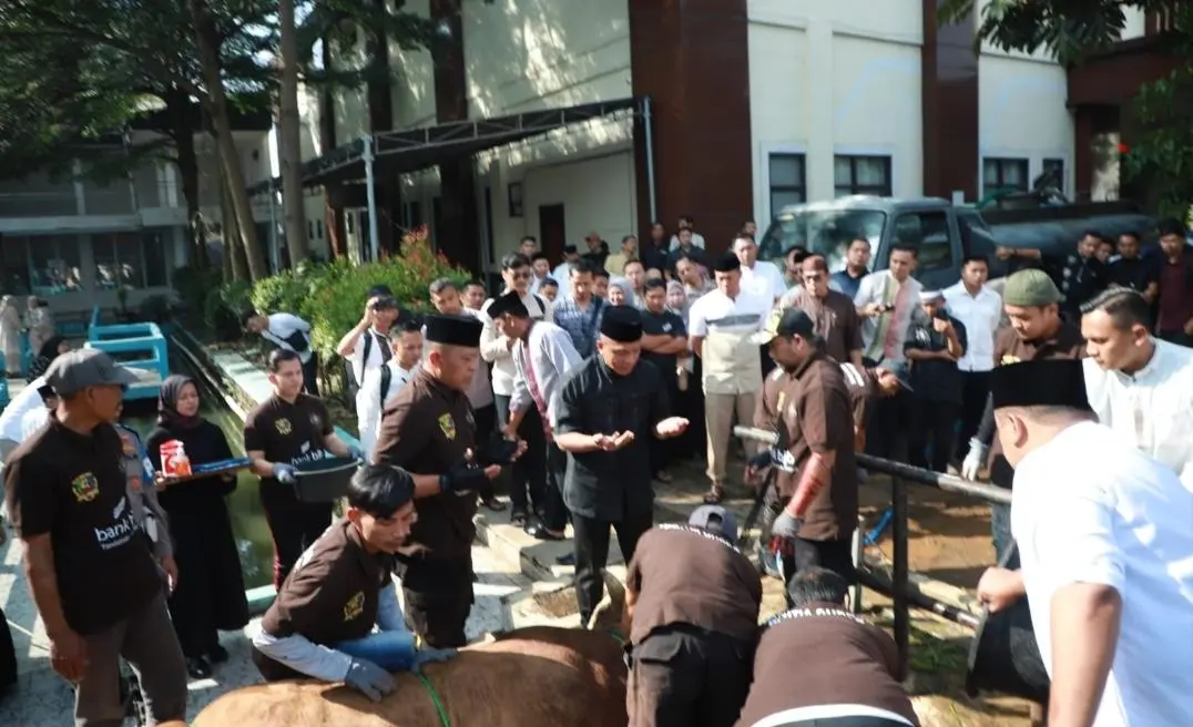 Polda Jabar Sembelih 160 Hewan Kurban, Kapolda: Momentum Perkuat Kepedulian Sosial