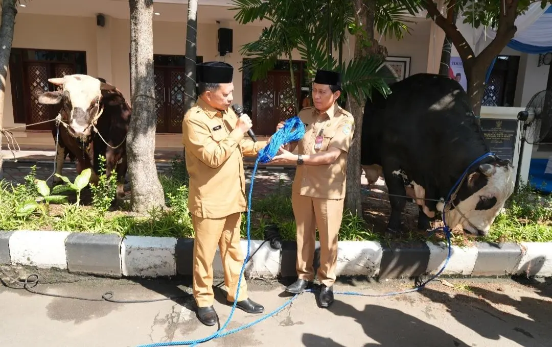 Perkuat Kepedulian Sosial, Mendagri Serahkan Hewan Kurban Kemendagri dan BNPP