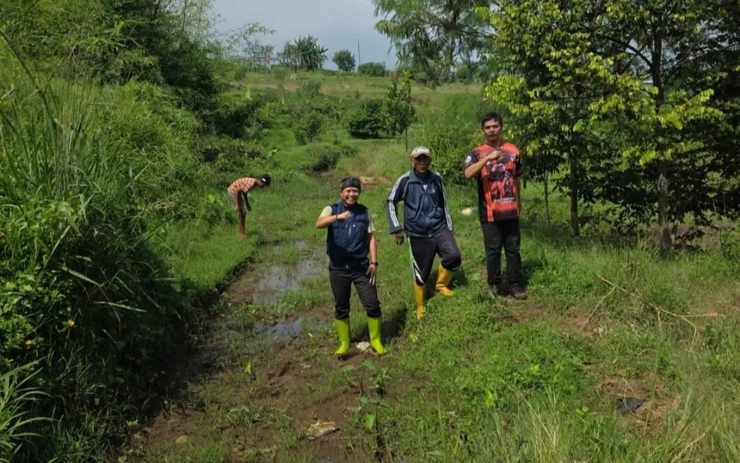 Solid! Camat Pacet dan Petani Kompak Perbaiki Tanggul Situ Panerah Demi Sawah 3 Desa