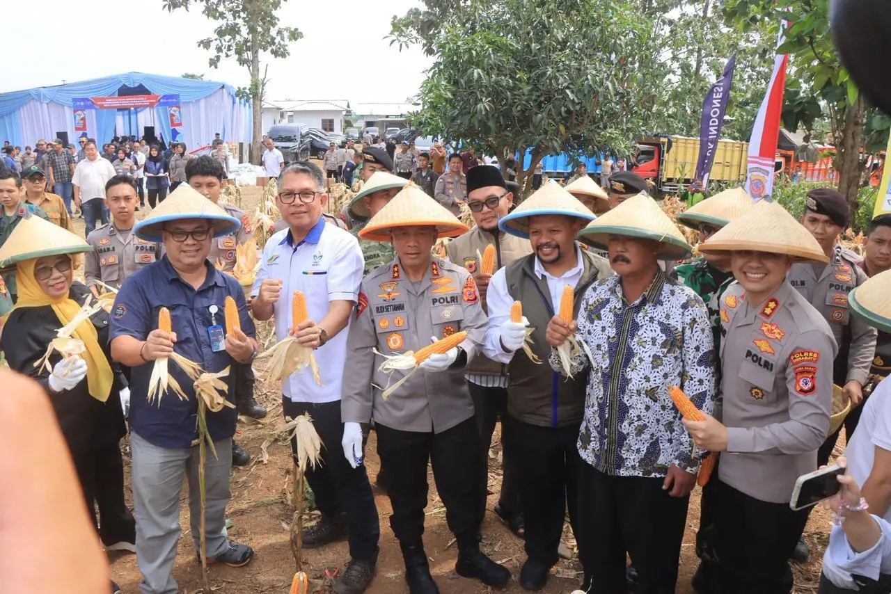 Panen Raya Jagung di Indramayu, Kapolda Jabar: Ketahanan Pangan Butuh Kolaborasi Semua Pihak