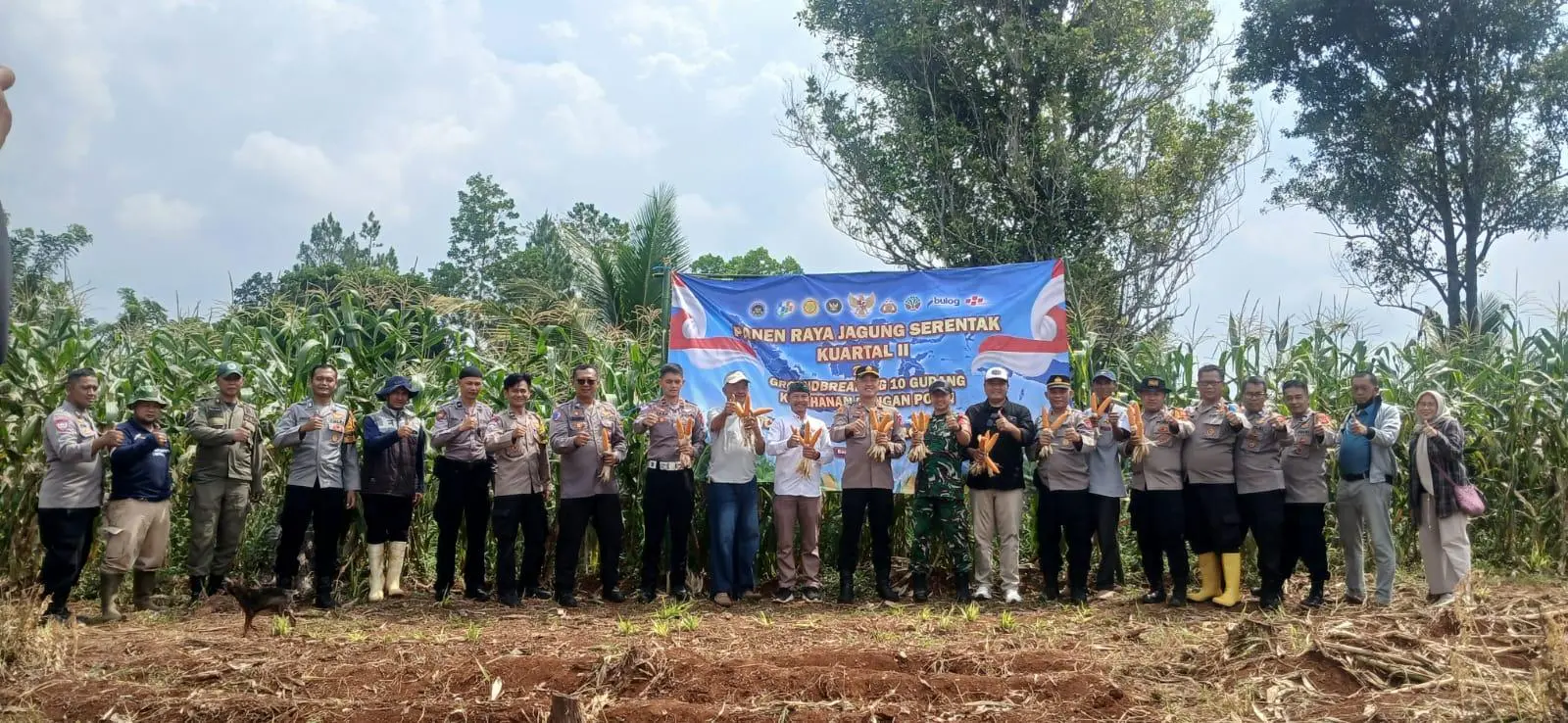 Panen Raya Jagung Kuartal II, Polsek Ciparay Siapkan Panen 5 Hektare Lahan