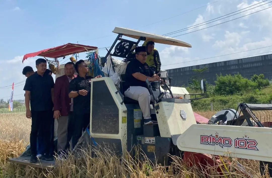 Pemuda Tani dan Mahasiswa UKRI Panen Raya di Rancaekek, Produktivitas Padi Tembus 12 Ton per Hektare
