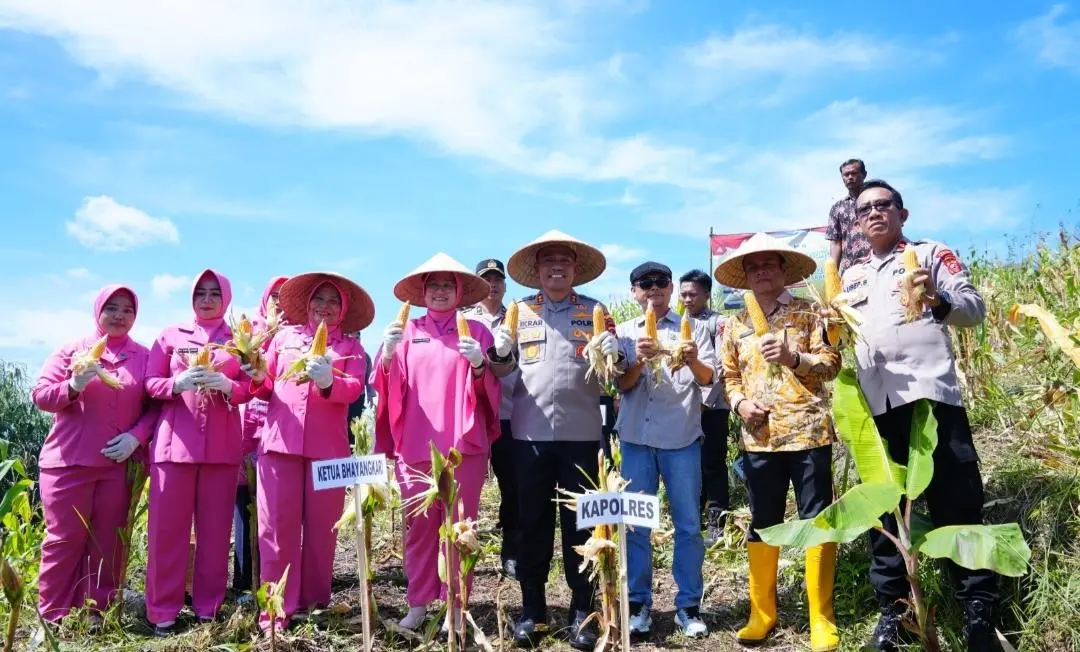 Sukses Tanam Ribuan Hektare Jagung, Program “Keroyok Bareng” Polda Jabar Layak Jadi Percontohan Nasional