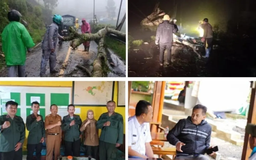 Camat Rancabali Berencana Melakukan Mitigasi Potensi Bencana Pohon Tumbang