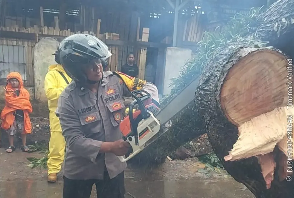 Polsek Ciparay Gerak Cepat Evakuasi Pohon Tumbang, Jalur Provinsi Kembali Normal