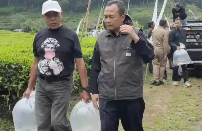 Dukung Ketahanan Pangan, Camat Panpan Risvan Tebar Benih Ikan di Rancabali 