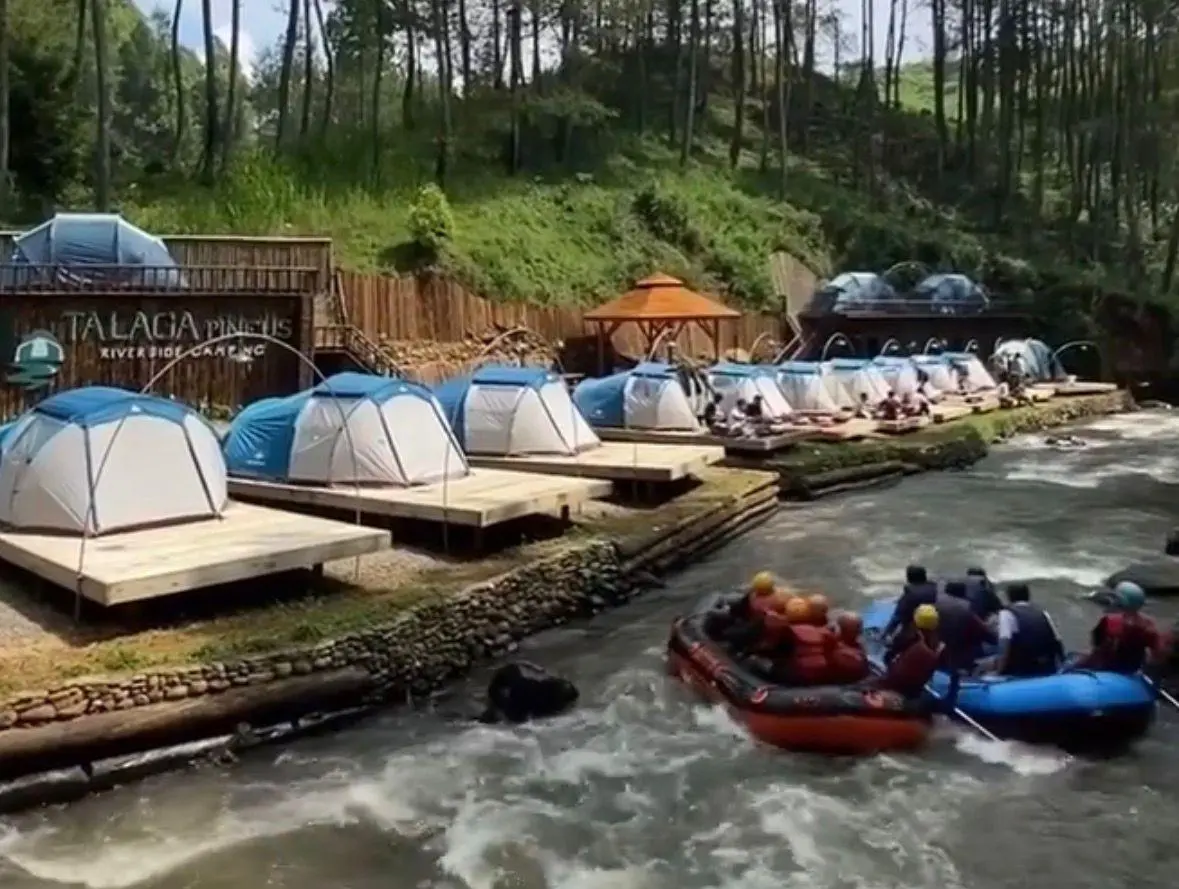 Pohon Tumbang di Wisata Rahong Pangalengan, Palawi Tegaskan Bukan Karena Kelalaian