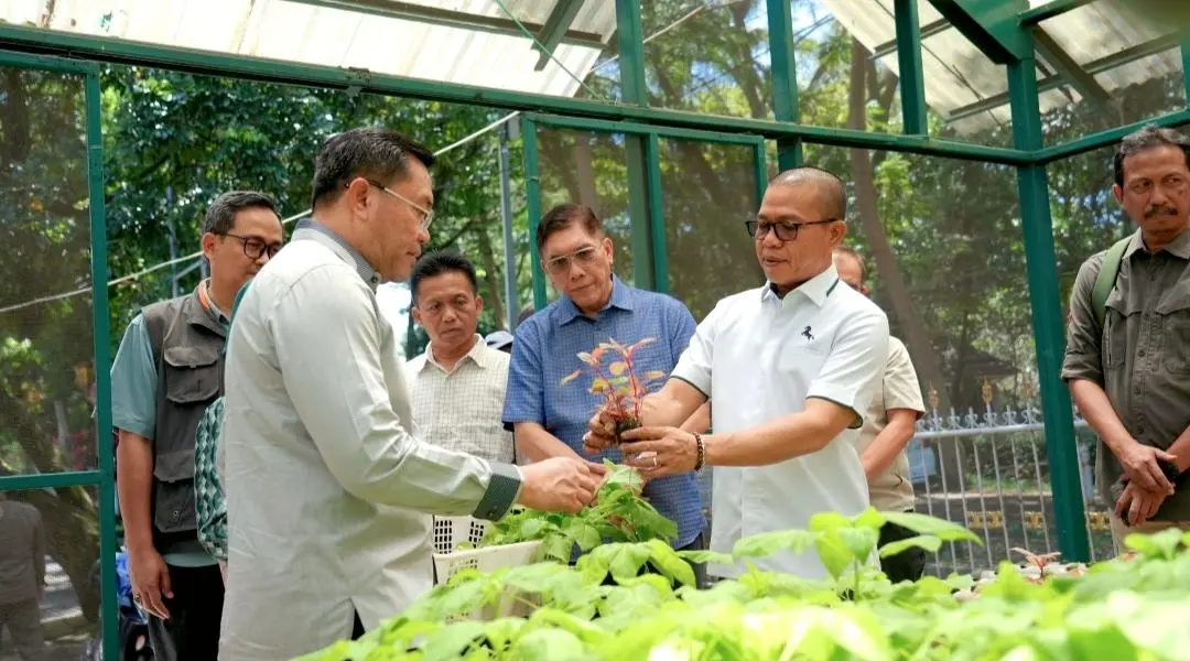 Gertaman Jadi Inovasi Cerdas: Bupati Bandung dan Wakil BGN Panen Sayuran dari Lahan Tak Produktif