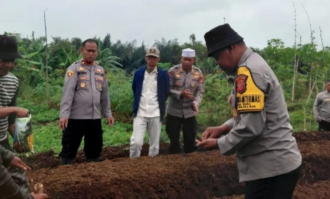 Kapolsek Majalaya Pimpin Penanaman Jagung Serentak di Desa Biru, Wujud Dukungan Ketahanan Pangan Nasional