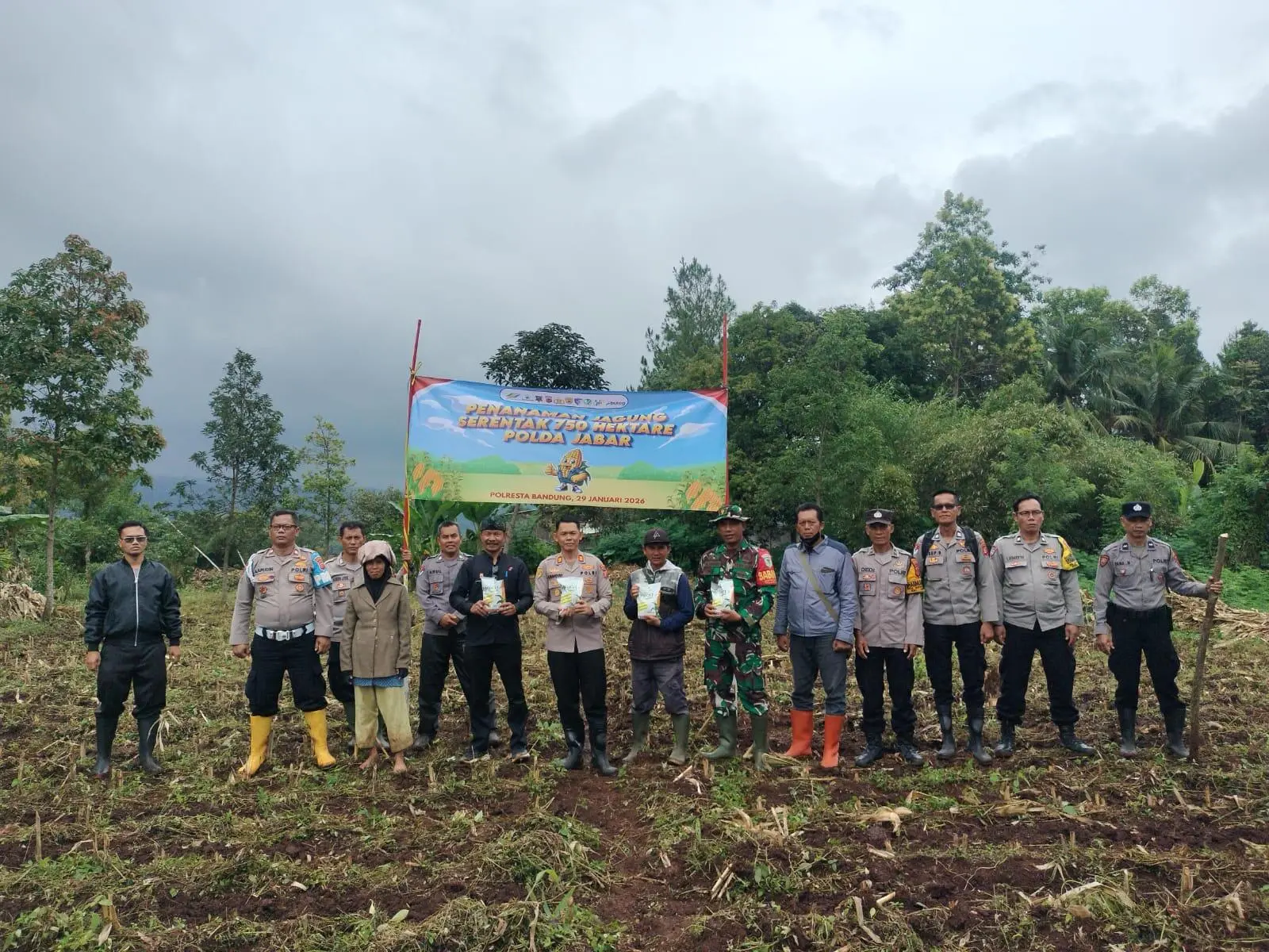 Polsek Ciparay Pimpin Penanaman Jagung, Dari Keamanan ke Kesejahteraan