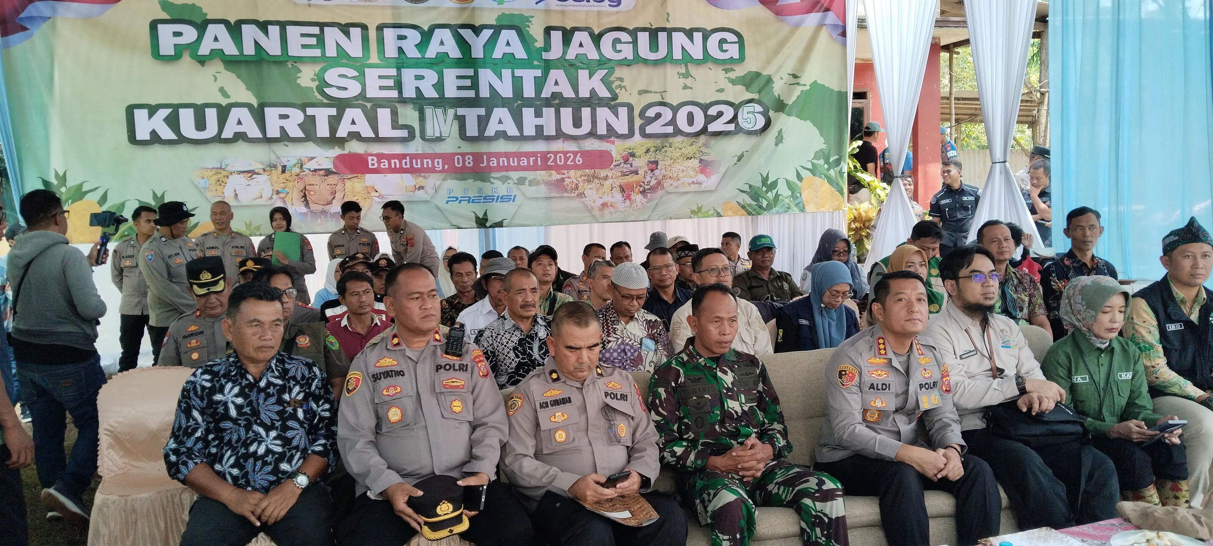 Panen Raya Jagung Kuartal IV di Majalaya, Lahan 13 Hektare Targetkan 91 Ton