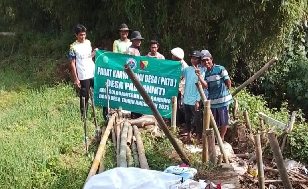 Padat Karya Tunai Desa Padamukti Dorong Perbaikan Infrastruktur dan Pemberdayaan Warga