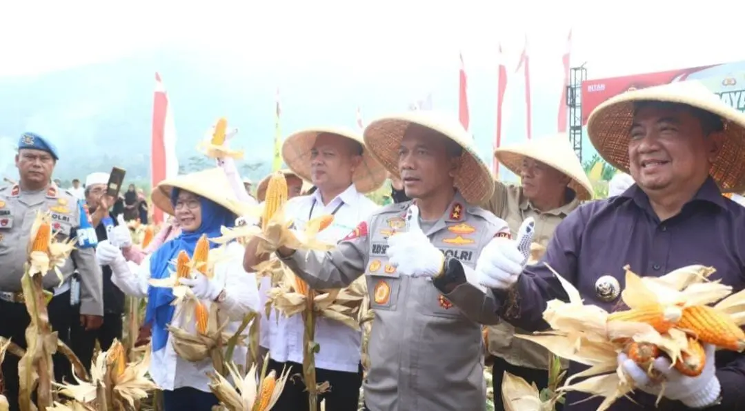 Prestasi Polda Jabar Dalam Mendukung Ketahanan Pangan Nasional Lewat Panen Raya Jagung