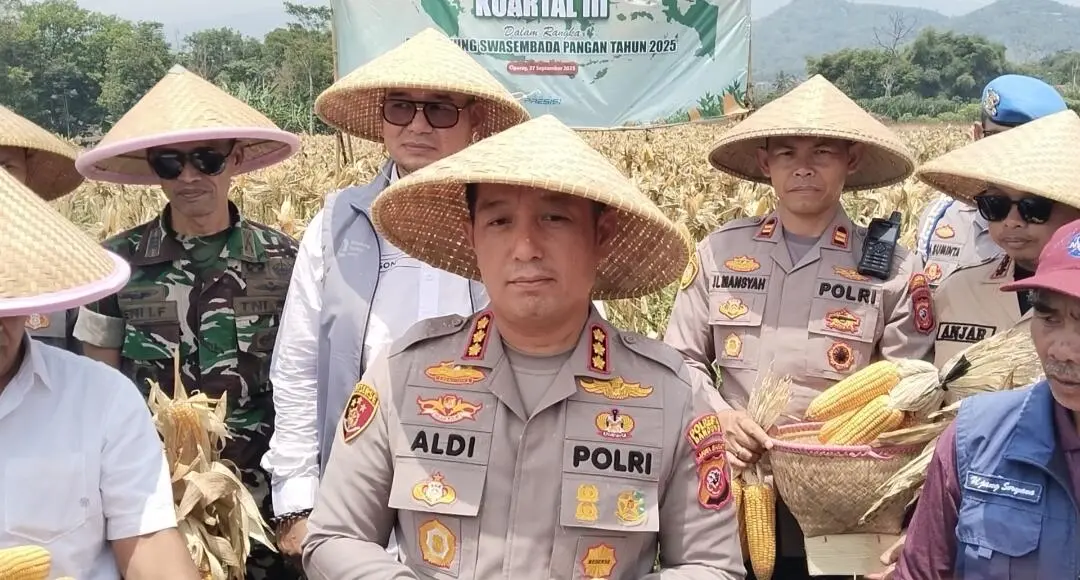 Polresta Bandung Gelar Panen Raya Jagung Serentak di Ciparay, Dorong Petani Jaga Kualitas dan Harga