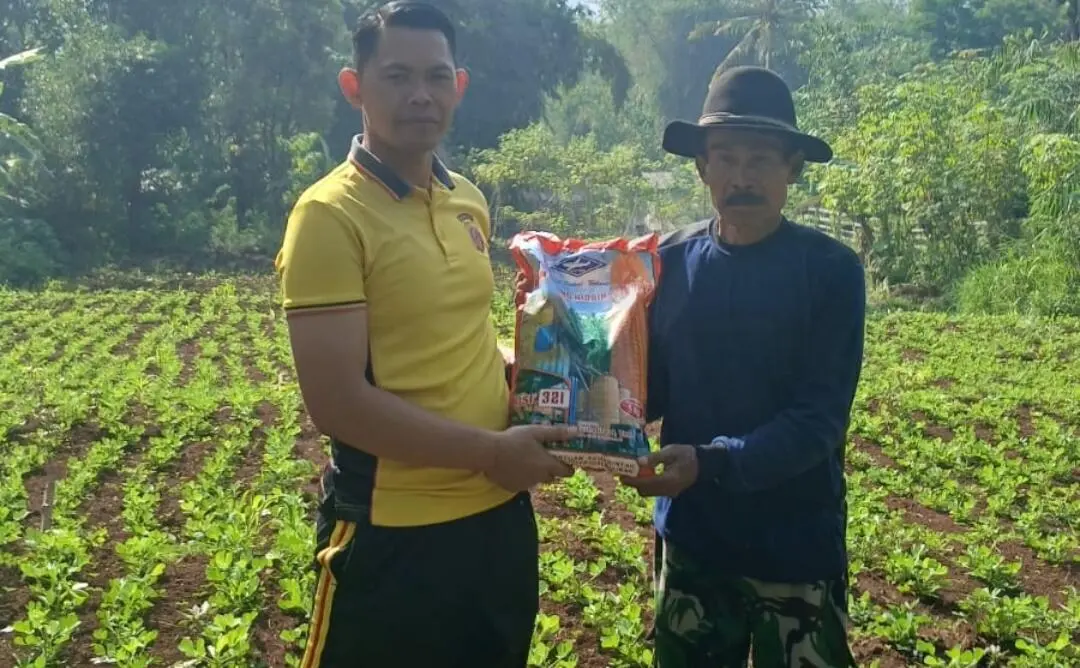 Dukung Program Ketahanan Pangan Nasional, Polsek Ciparay Tanam Jagung