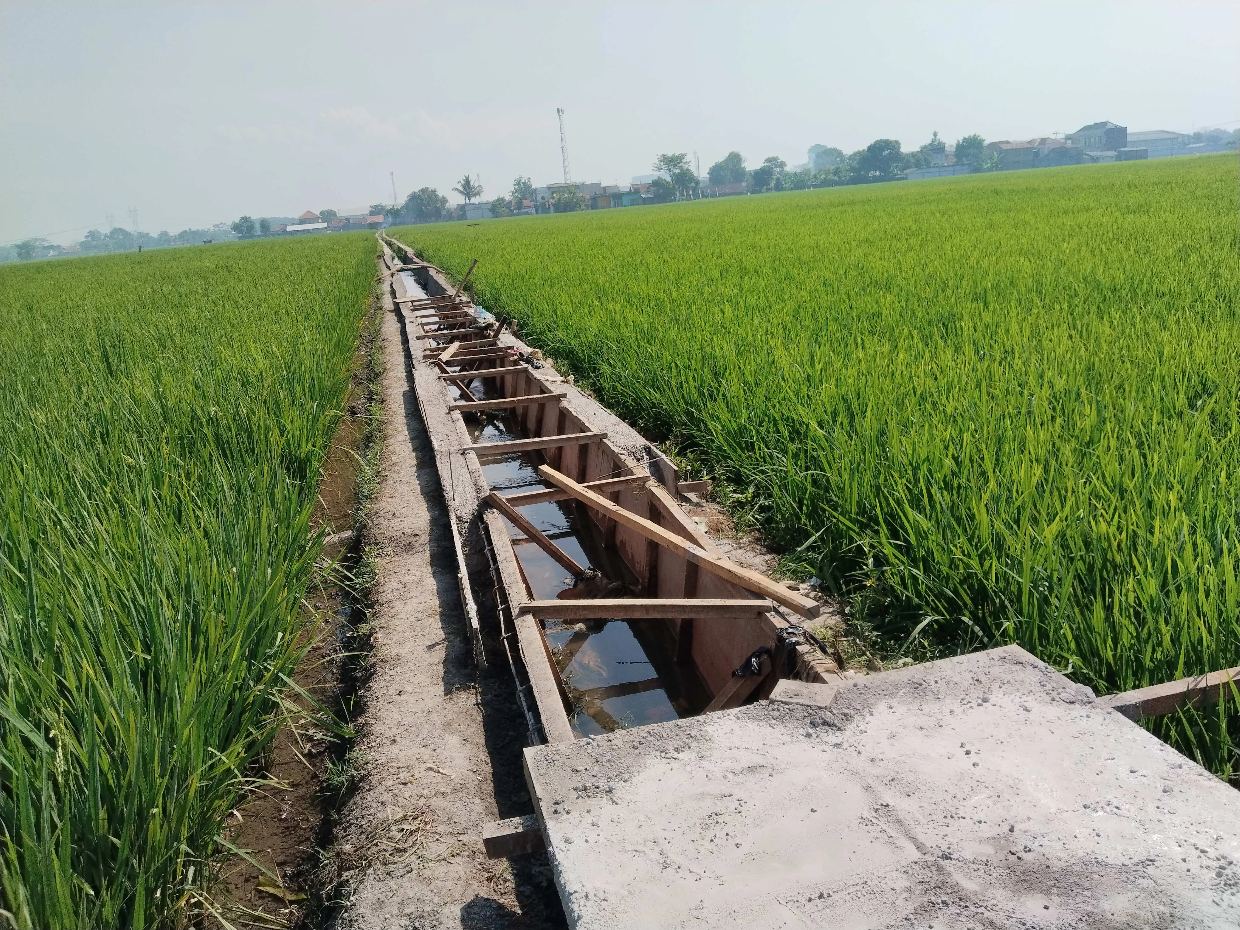 Proyek Drainase Irigasi di Sukamaju Diduga Kurang Transparan