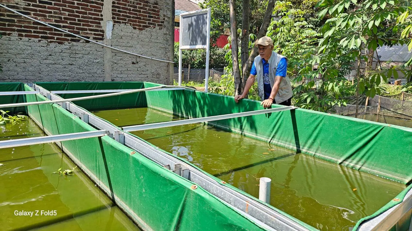 Dukung Ketahanan Pangan, Ketua Fraksi PKB Tarya Witarsa: Budidaya Pembesaran Ikan Lele Tingkatkan Ekonomi Masyarakat